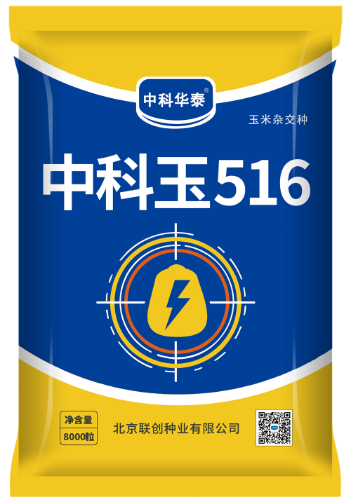 中科玉516